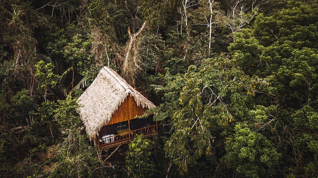Sweet Songs Jungle Lodge